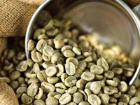 Зеленый кофе арабика в зернах