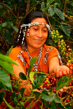 Перуанский кофе