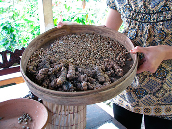 Кофе в зернах Kopi Luwak (Копи Лювак)