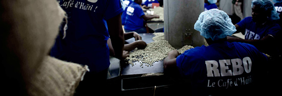 Гаитянская кофейная плантация