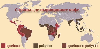 Страны где выращивают кофе