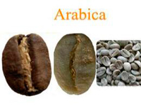 Кофе в зернах арабика