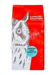 Кофе Owl в зернах Sumatra Gayo Mountain 1 кг