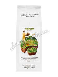 Кофе Le Piantagioni del Caffe (Ле Пьянтаджиони Дель Каффе) в зернах Yrgalem 500 гр